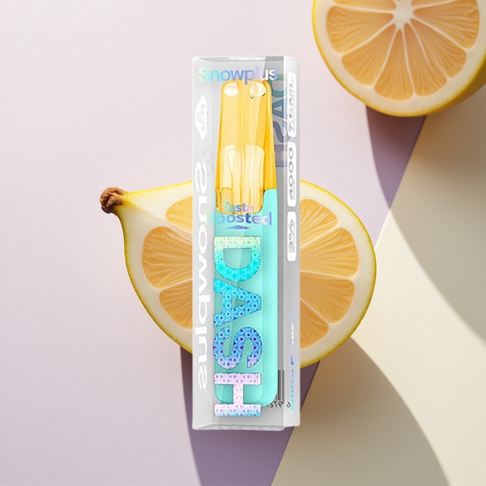 Snowplus Dash 4000 Puffs Baltasis Šaltis Keraminis 530 mAh