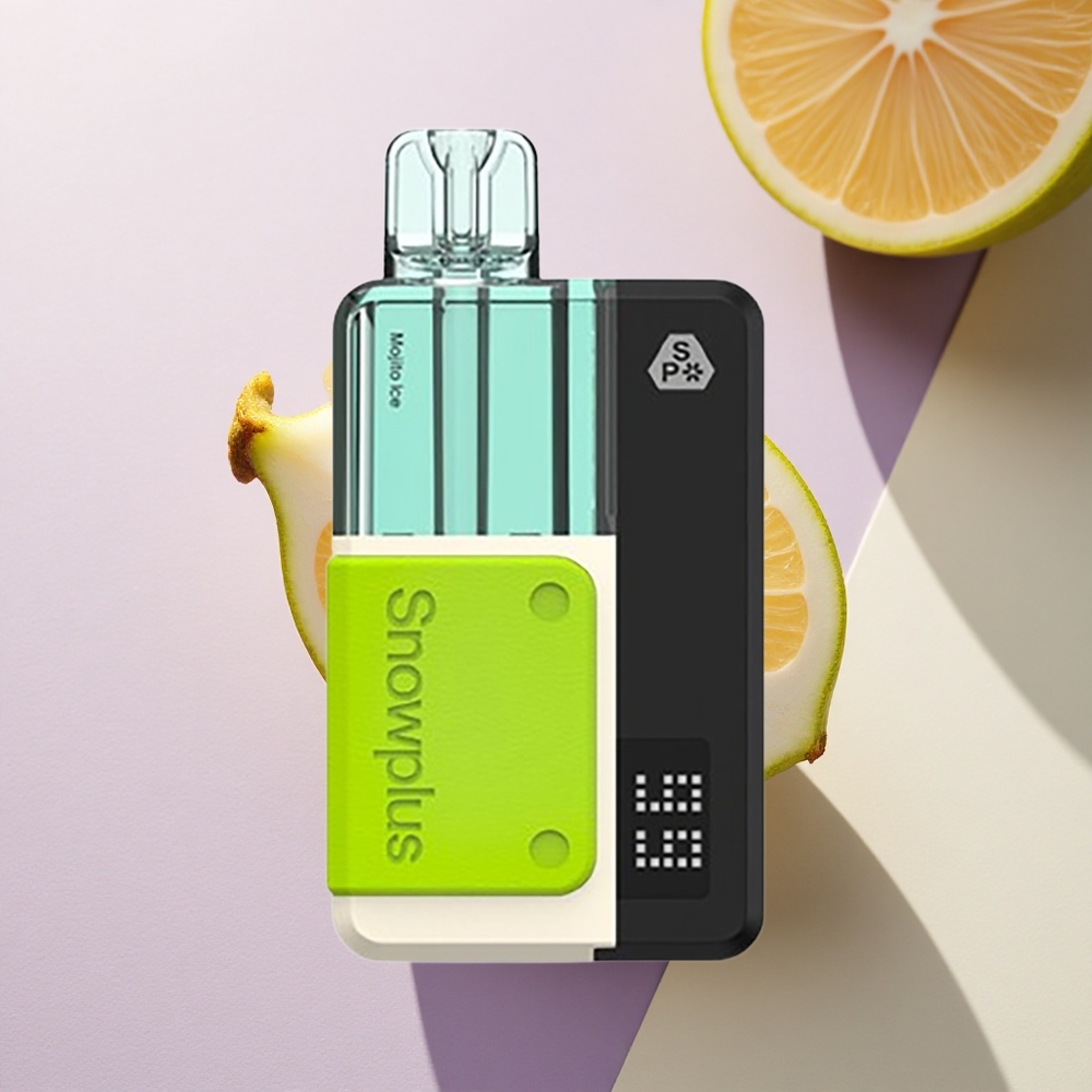 Snowplus Swift 5000 Puffs Mojito Ledas su 1000 mAh ir Dviguba Tinklelinė